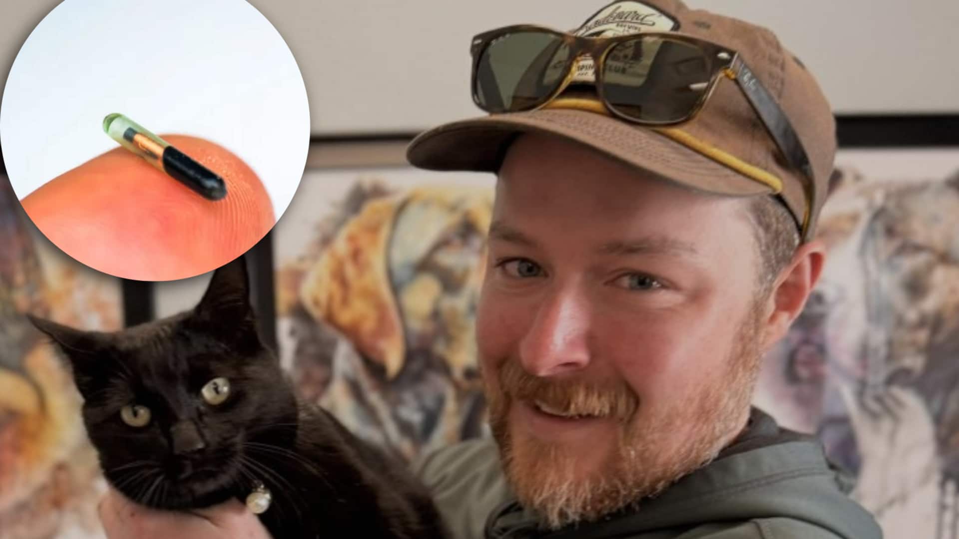 11 महीने से लापता थी पालतू बिल्ली, माइक्रोचिप की बदौलत मालिक के पास लौटी