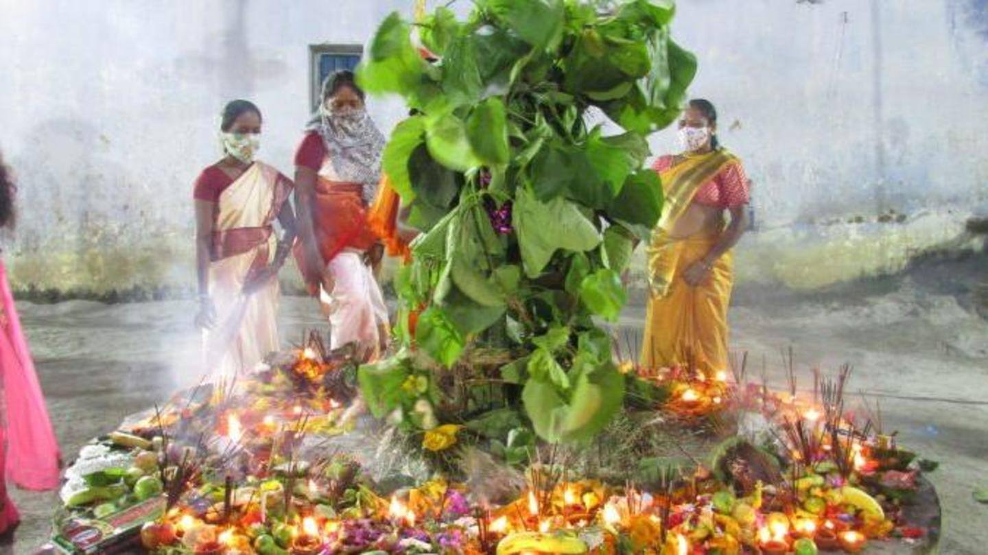 आदिवासियों का प्रमुख त्योहार है करमा एकादशी आदिवासियों का प्रमुख त्योहार है करमा एकादशी