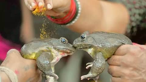 भारत में बारिश न होने पर किए जाते हैं ये विचित्र रीति-रिवाज, जानकार होगी हैरानी 