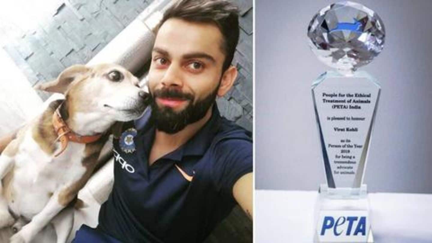 PETA इंडिया ने कप्तान कोहली को चुना 'पर्सन ऑफ द ईयर', जानिए क्या है यह सम्मान