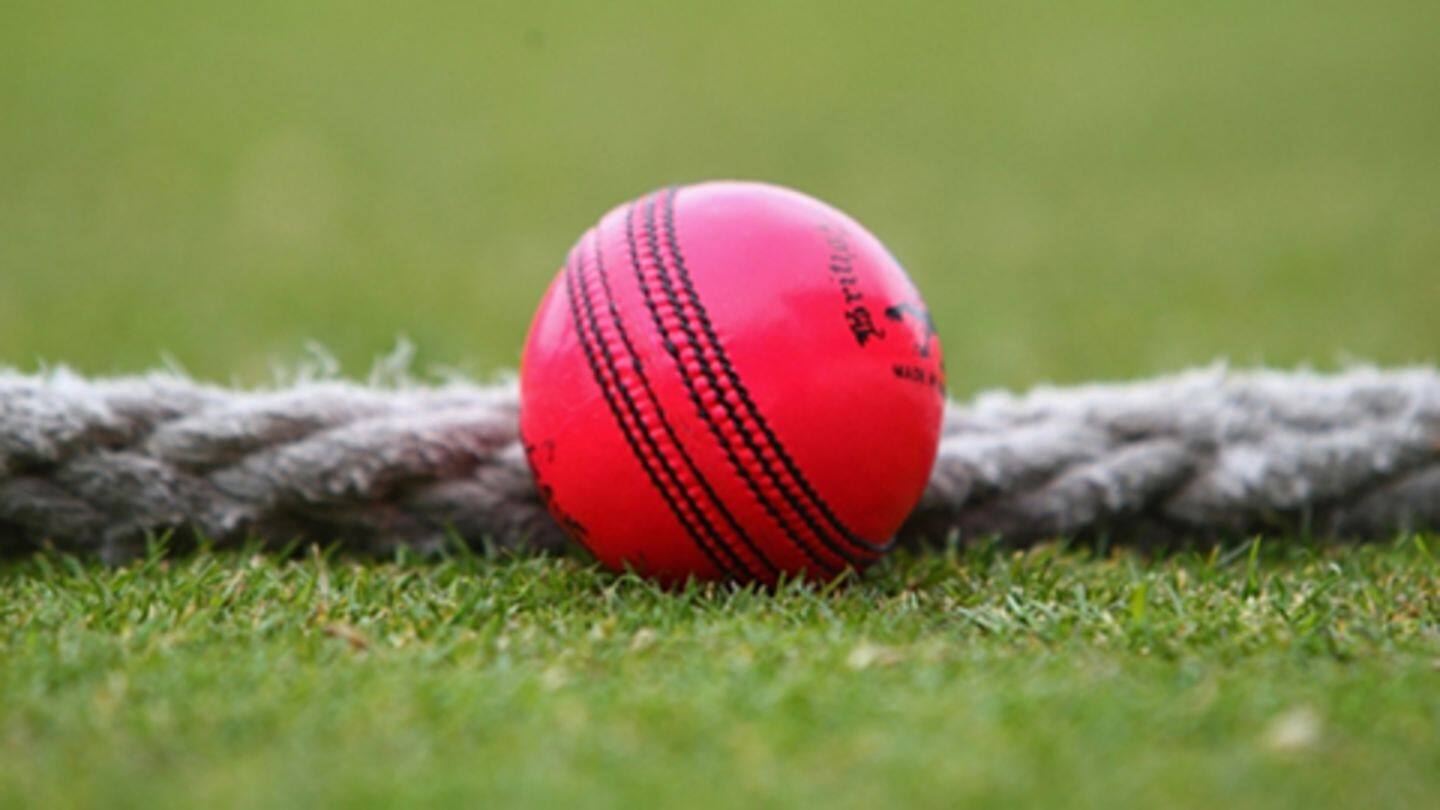 राहुल द्रविड़ के मार्गदर्शन में भारतीय खिलाड़ियों ने पिंक बॉल से शुरु किया अभ्यास