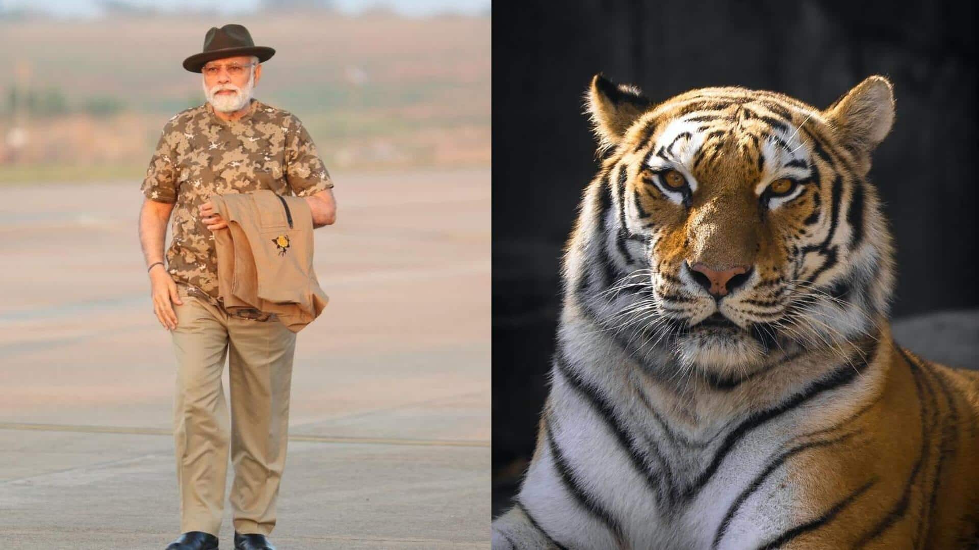 भारत में बाघों की आबादी 200 बढ़कर 3,167 पर पहुंची, प्रधानमंत्री मोदी ने जारी किए आंकड़े