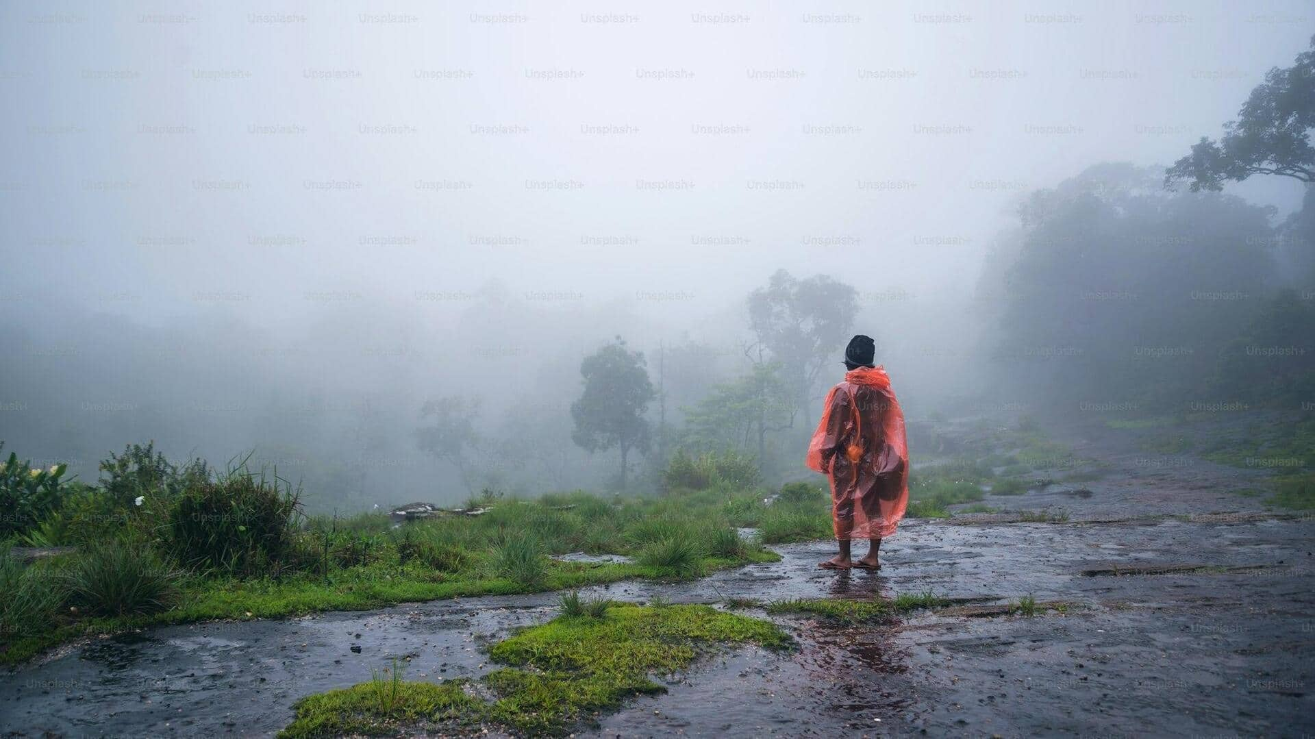 मानूसन: राजस्थान-उत्तर प्रदेश में आज भी बारिश की संभावना, दिल्ली में ऐसा रहेगा मौसम 