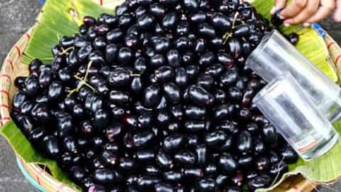 जामुन का अधिक सेवन स्वास्थ्य के लिए हो सकता है नुकसानदायक, जानिए कैसे