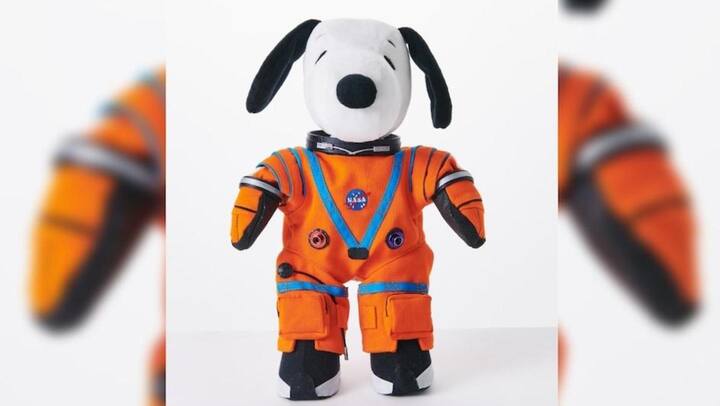 NASA ने सॉफ्ट टॉय को पहनाई यूनीफॉर्म, जानें अंतरिक्ष यात्रा पर क्यों जा रहा है 'स्नूपी'