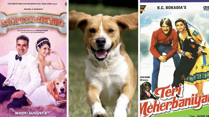 जानवरों से प्यार है तो आपको ये बॉलीवुड फिल्में जरूर देखनी चाहिए