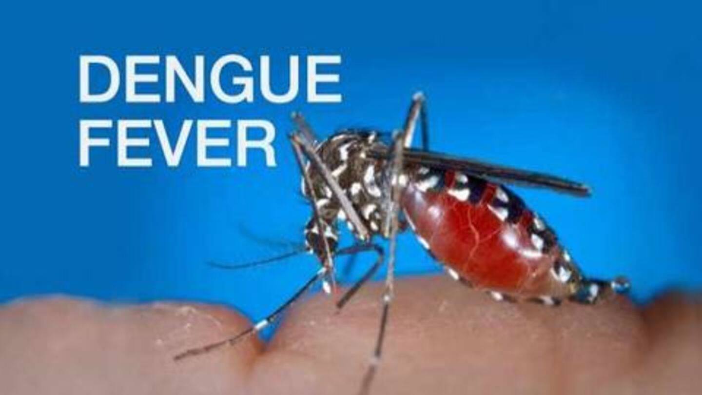 डेंगू बुखार से पीड़ित होने पर अपनाएँ यें घरेलू नुस्खे, कुछ ही दिनों में मिलेगा आराम