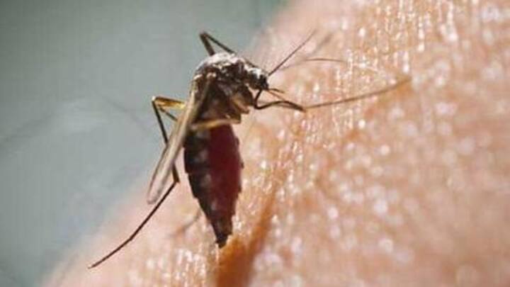 #WorldMalariaDay: जानें मलेरिया के लक्षण, कारण और कैसे करें इसका बचाव