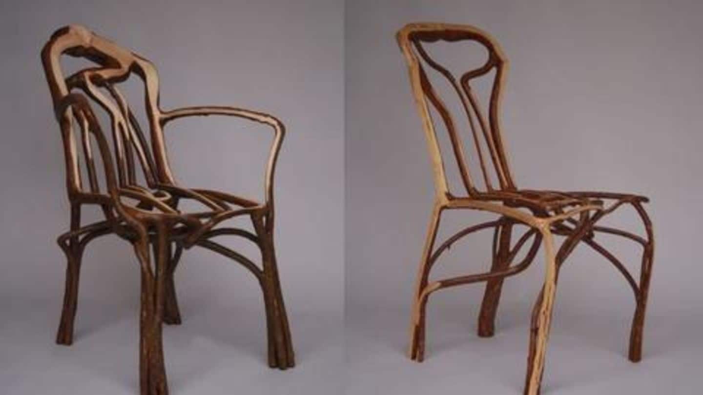ब्रिटेन का यह दंपति फ़र्नीचर के आकार में उगाता है पेड़, खेत में लगती हैं मेज-कुर्सियां