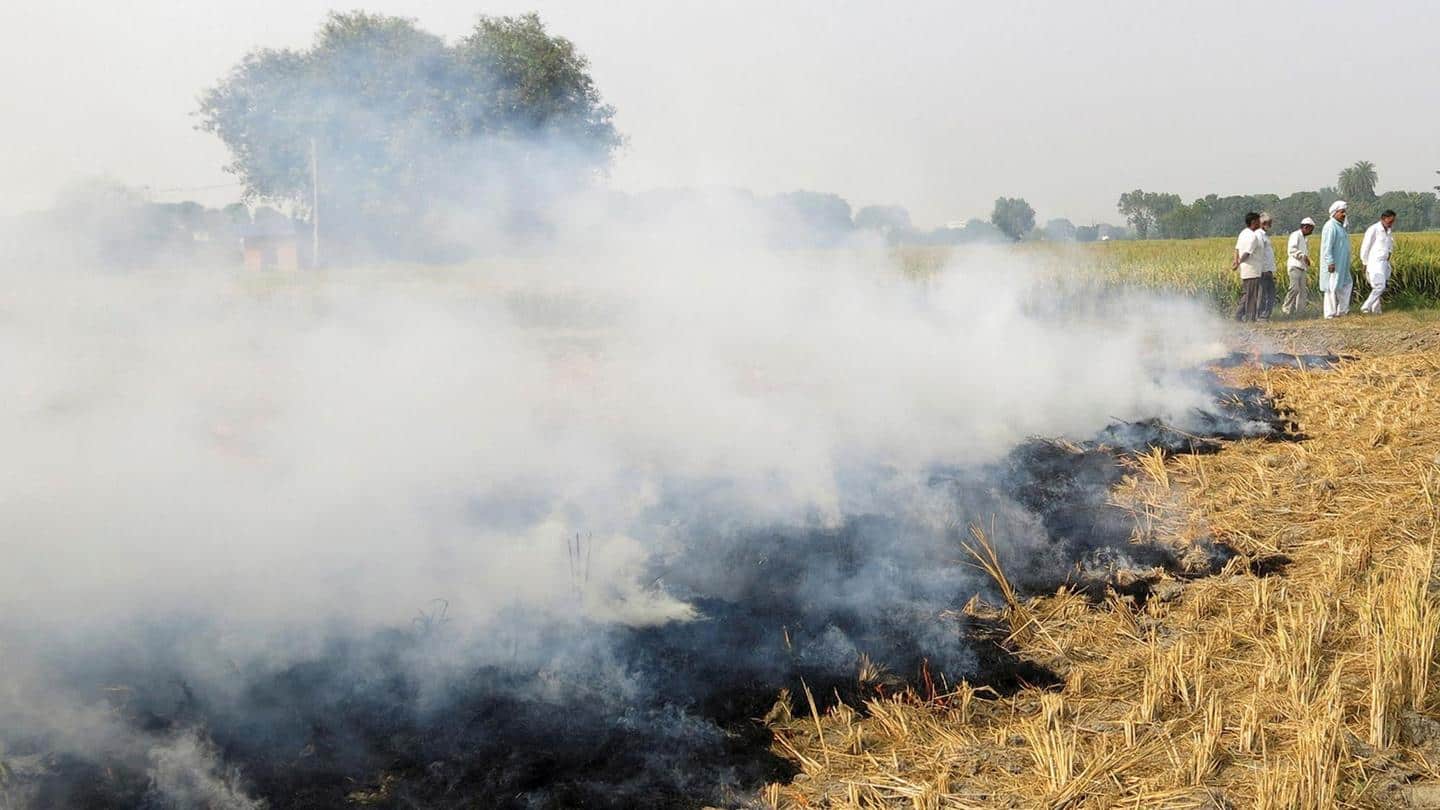 वायु प्रदूषण: पराली जलाने की घटनाओं की निगरानी के लिए सुप्रीम कोर्ट ने समिति गठित की