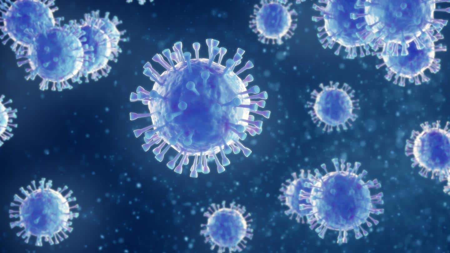 इंसानी त्वचा पर नौ घंटे तक जिंदा रह सकता है कोरोना वायरस, अध्ययन में आया सामने