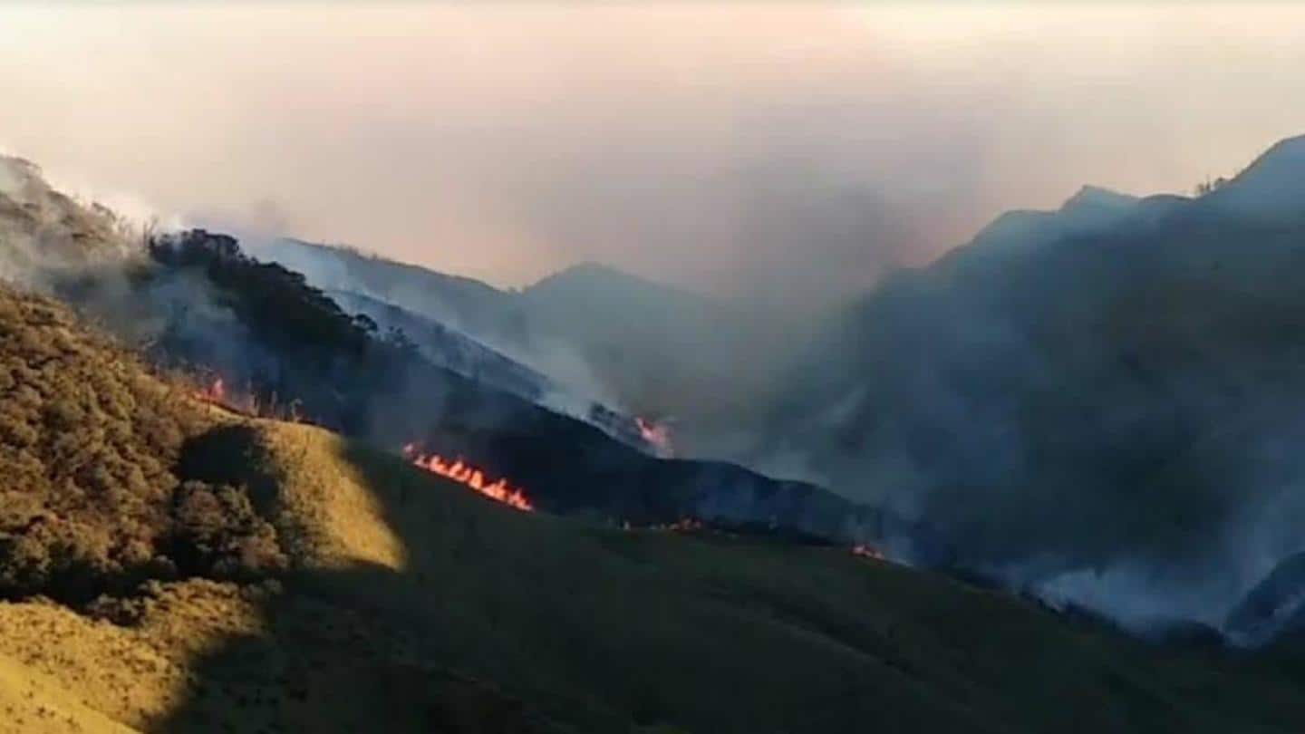 मणिपुर-नागालैंड सीमा पर दजुको घाटी के बड़े हिस्से में भीषण आग, NDRF को बुलाया गया