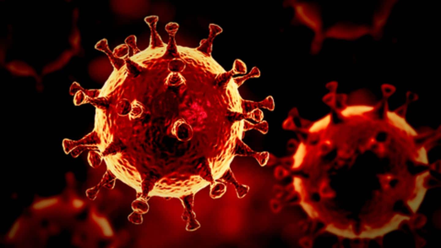 नोबेल पुरस्कार विजेता का दावा- वुहान की लैब में तैयार किया गया कोरोना वायरस