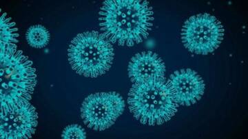 ज्यादा तापमान और उमस में कम हो सकती है कोरोना वायरस के संक्रमण की गति- शोध
