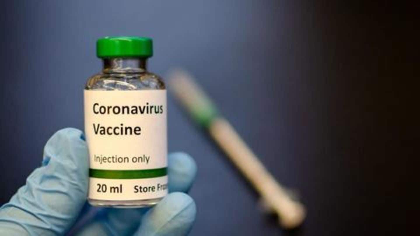WHO विशेषज्ञ ने चेताया- हो सकता है कोरोना वायरस की कभी कोई वैक्सीन न बन पाए