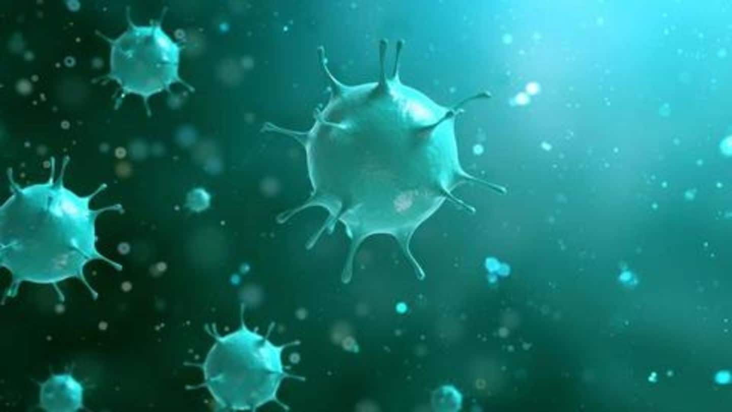 कोरोना वायरस लैब में तैयार नहीं हो सकता, प्राकृतिक रूप से हुआ शुरू- वैज्ञानिक