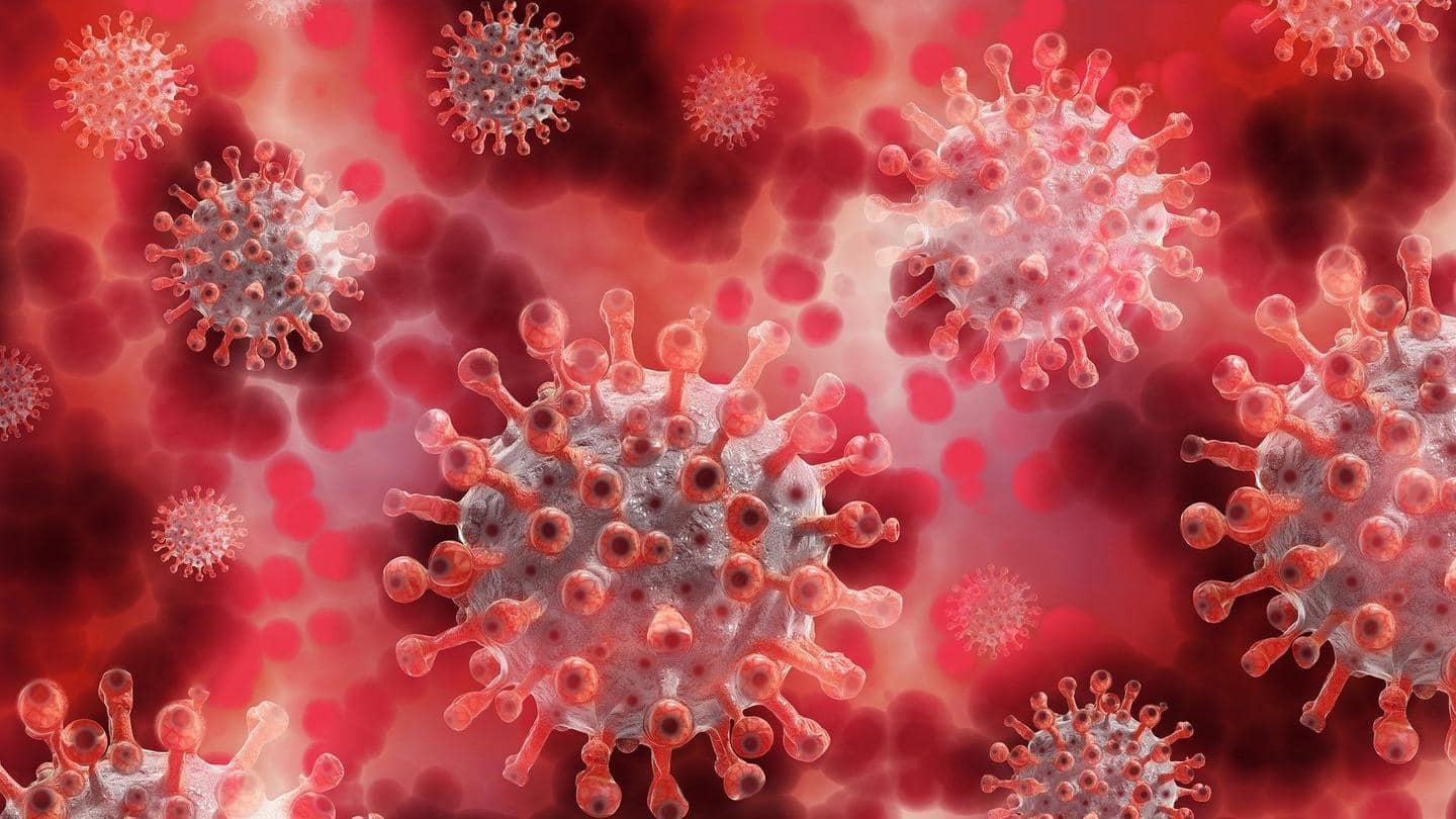 The number of infected worldwide crosses 80 million The number of infected worldwide crosses 80 million