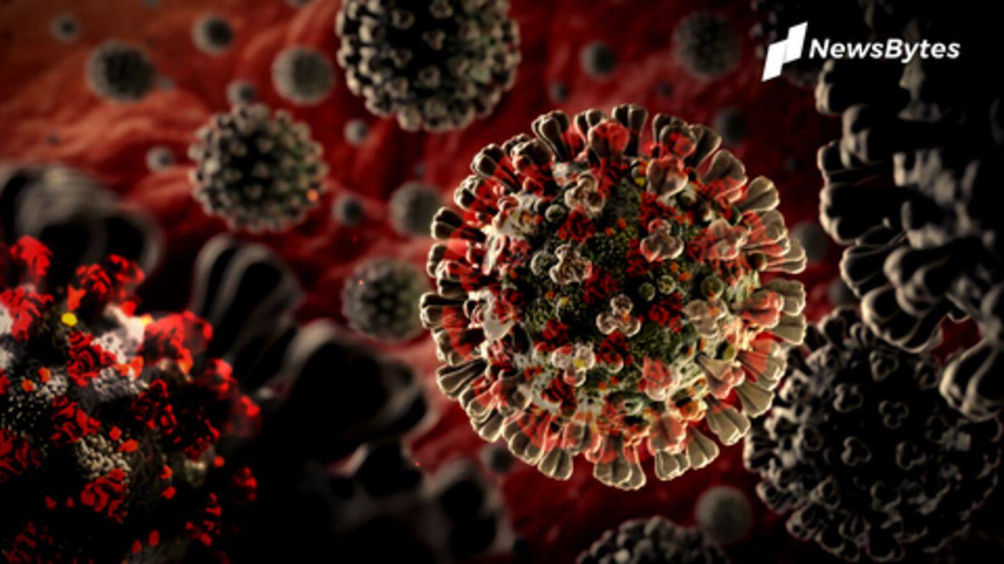 WHO ने चेताया- हो सकता है कोरोना वायरस दुनिया से कभी खत्म न हो