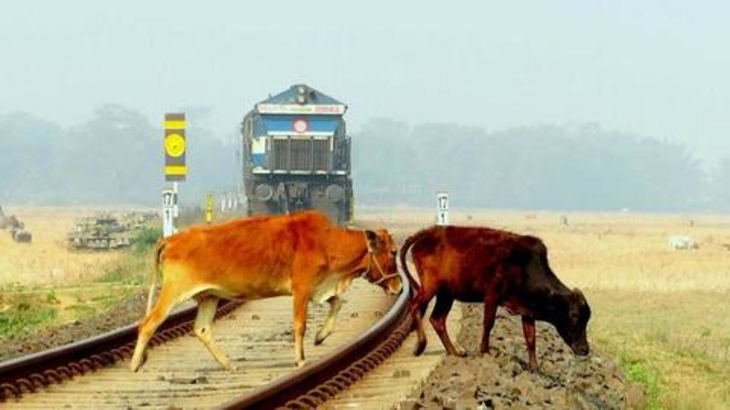 ट्रेन के आगे आकर गाय की मौत, कथित गौरक्षकों ने की लोको पायलट के साथ मारपीट