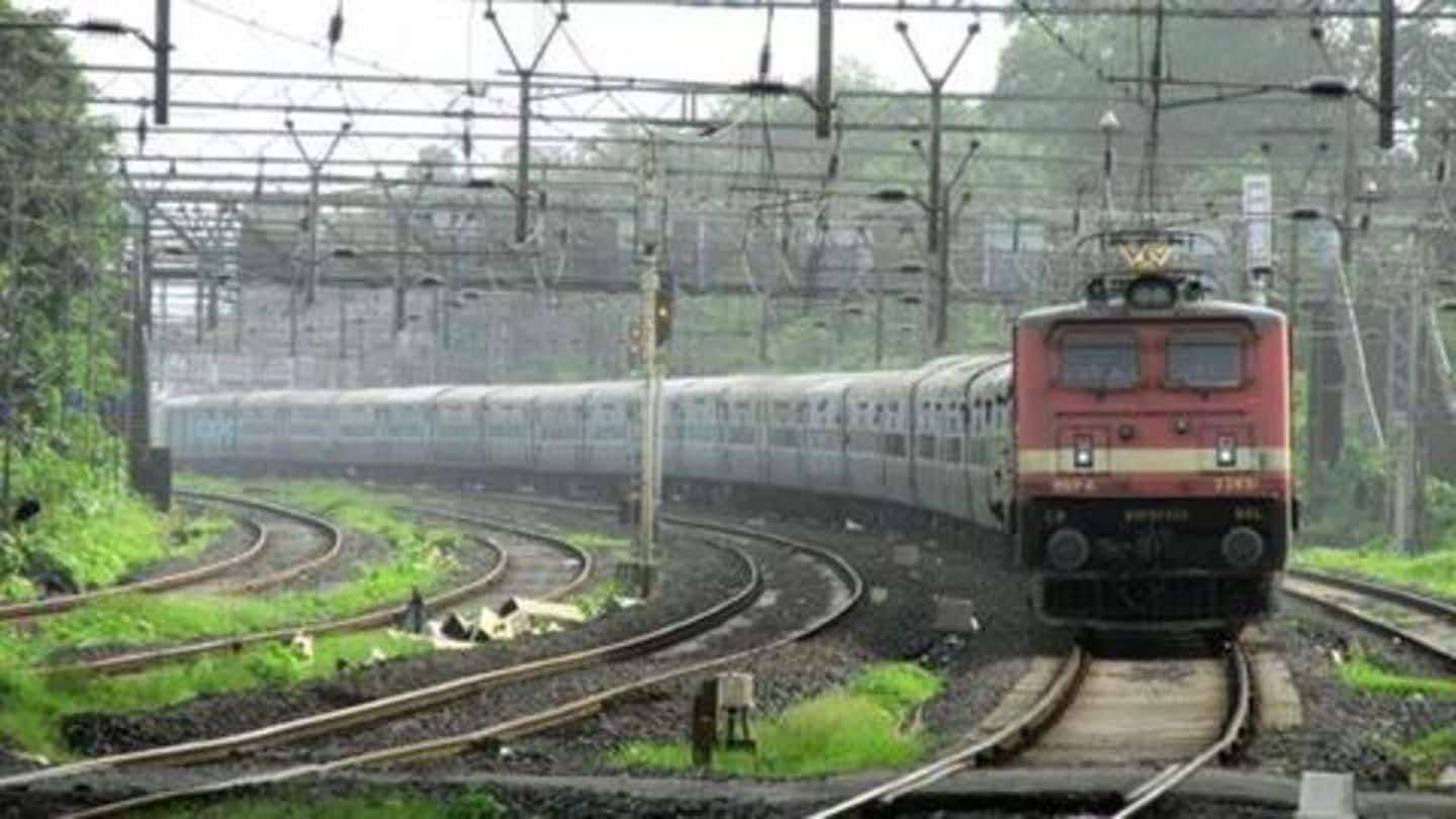 एक चूहा मारने के लिए रोजाना हजारों रुपये खर्च करता है रेलवे