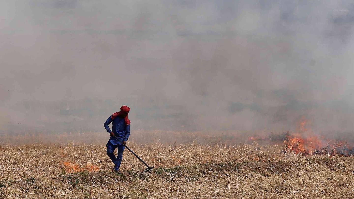 पंजाब में इस साल 46 प्रतिशत बढ़ी पराली जलाने की घटनाएं, हरियाणा में कम हुईं