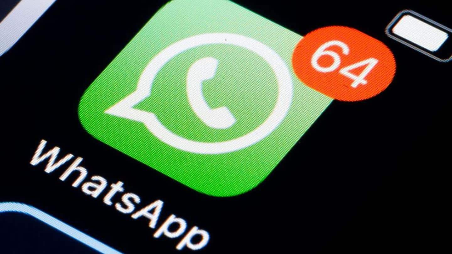 व्हाट्सऐप में जल्द आएगा रीड लेटर फीचर, नहीं मिलेगा चैट आर्काइव करने का ऑप्शन