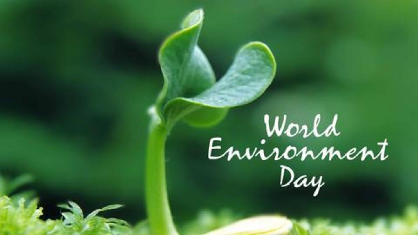 आज का इतिहास: 05 जून को मनाया जाता है विश्व पर्यावरण दिवस, जानें इतिहास