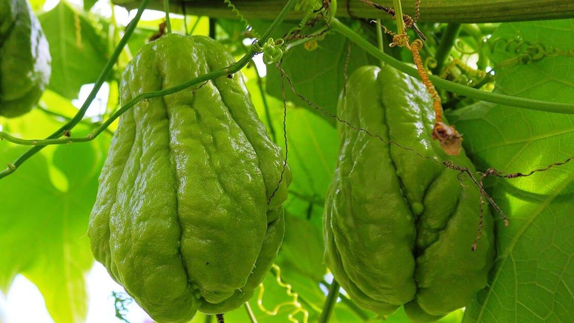 पूर्वोत्तर भारत की पौष्टिक सब्जी है इस्कुस, इससे बनाएं ये 5 लजीज व्यंजन 