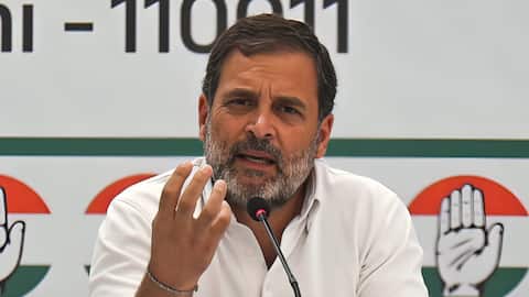 राहुल गांधी ने संसद परिसर में कहा- सरकार को सिर्फ एक लाइन का डर लेकिन बोलूंगा