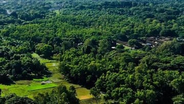 सुप्रीम कोर्ट का आदेश, 21 अक्टूबर तक आरे में कोई पेड़ नहीं काटा जाएगा
