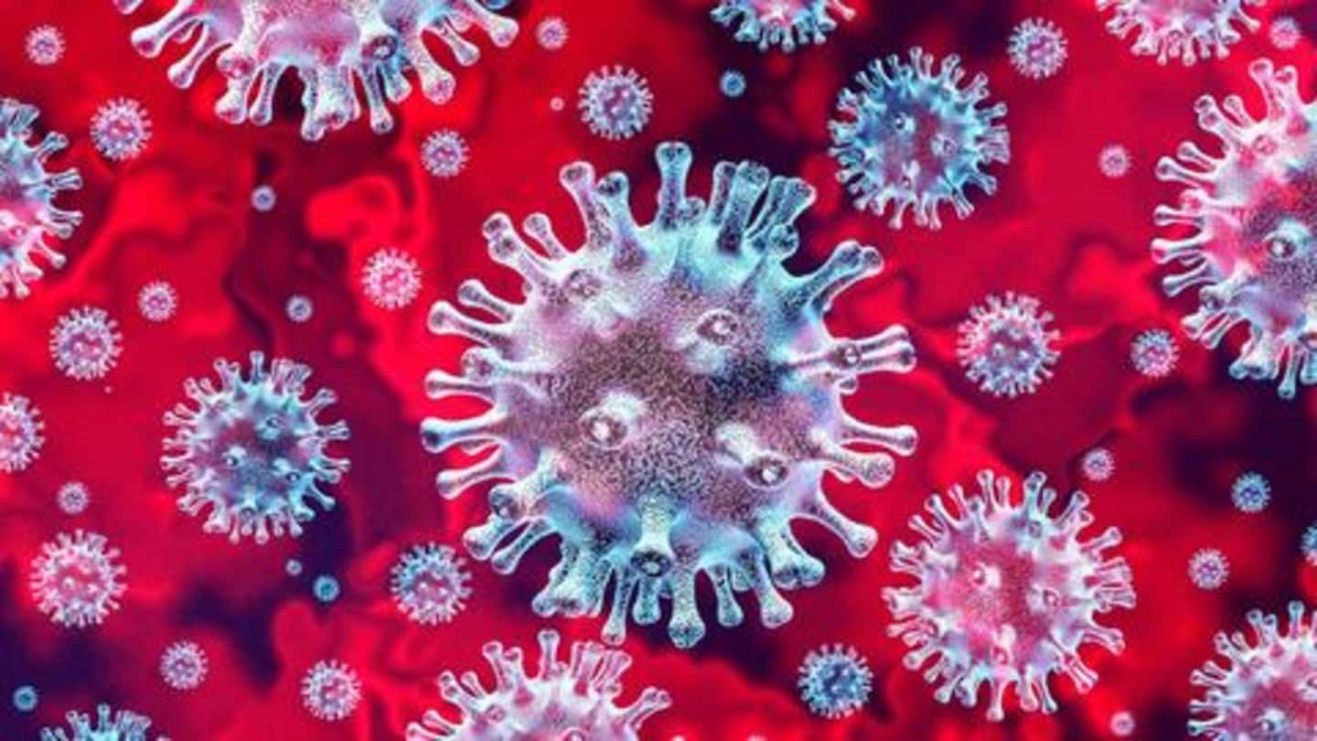 इजराइल का कोरोना की एंटी-बॉडी बनाने का दावा, शरीर में ही वायरस को करती है खत्म