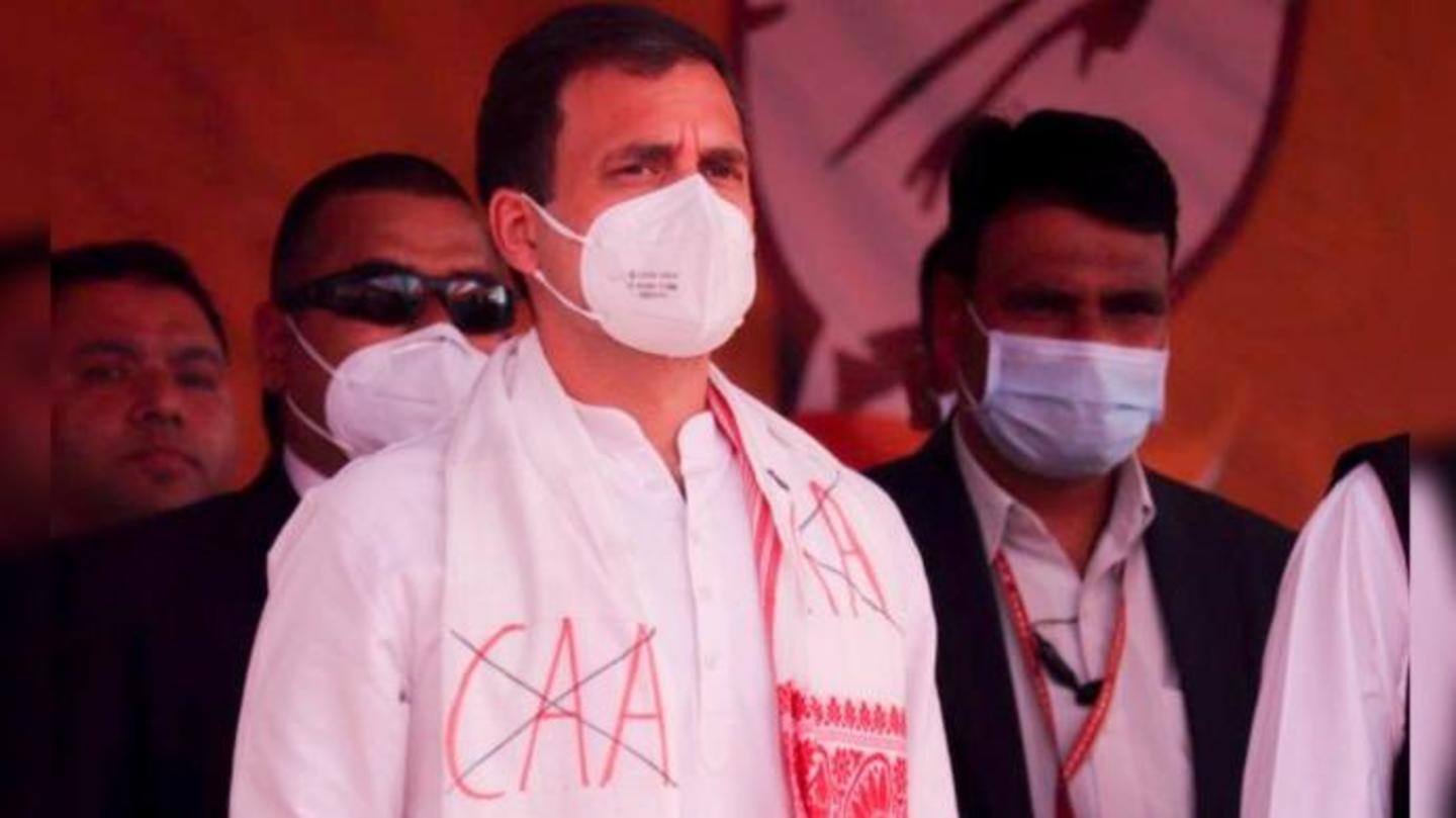 हम दो, हमारे दो सुन लें, CAA कभी नहीं लागू होगा- राहुल हम दो, हमारे दो सुन लें, CAA कभी नहीं लागू होगा- राहुल