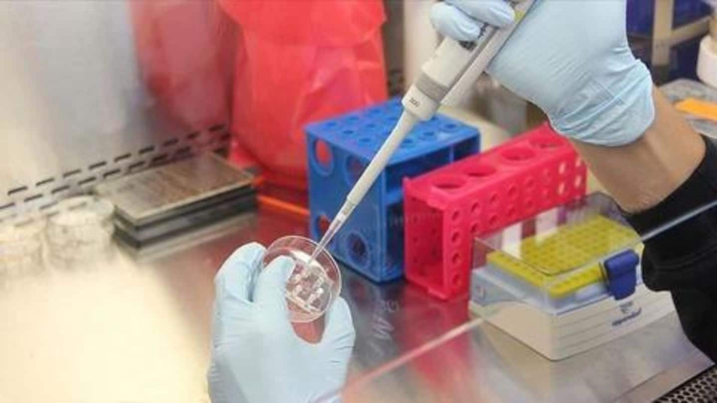 चीनी लैब को भरोसा- बिना वैक्सीन के कोरोना वायरस महामारी को रोक सकती है उनकी दवा