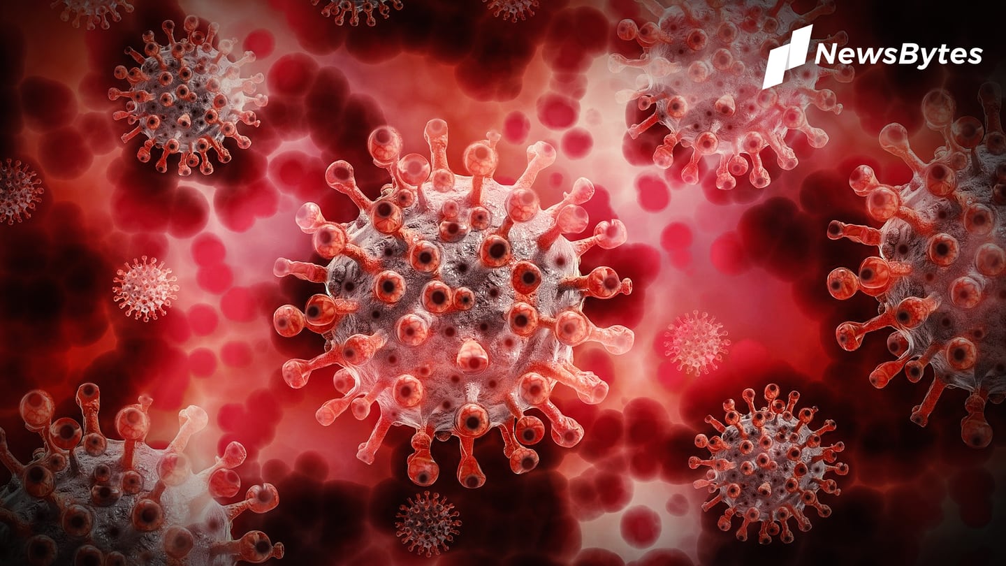 कोरोना वायरस: दक्षिण अफ्रीकी वेरिएंट के खिलाफ दो-तिहाई कम एंटीबॉडीज पैदा करती है फाइजर की वैक्सीन