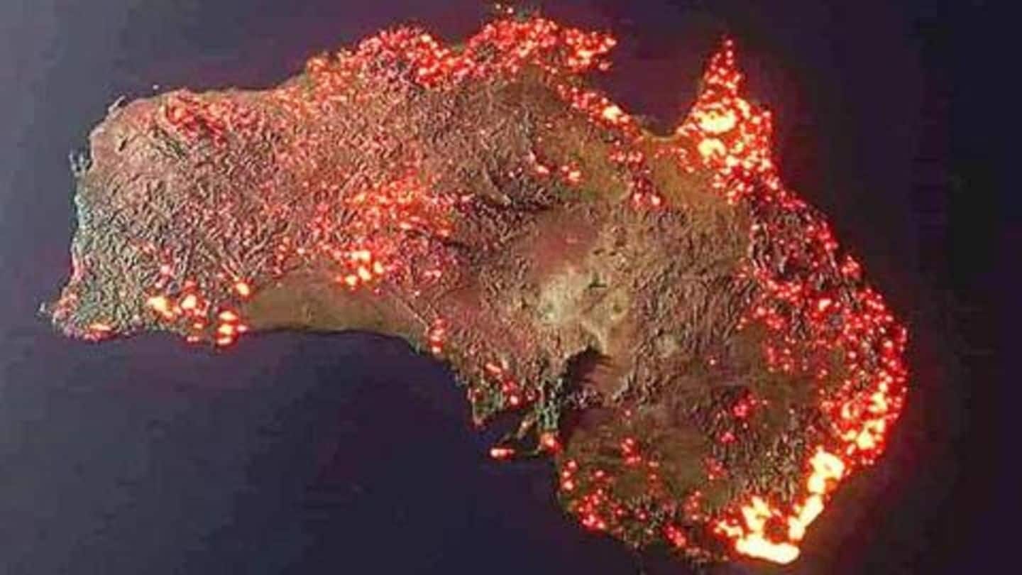 कितनी भीषण है ऑस्ट्रेलिया के जंगलों में लगी आग? 50 करोड़ पशु-पक्षी जलकर मरे