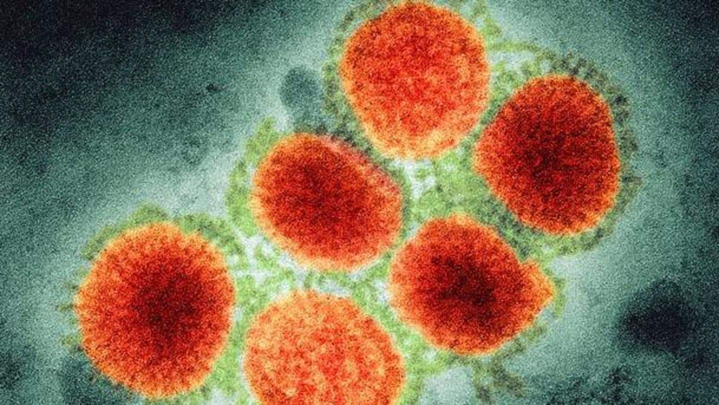 कनाडा में सामने आया स्वाइन फ्लू के दुर्लभ वायरस से संक्रमण का मामला