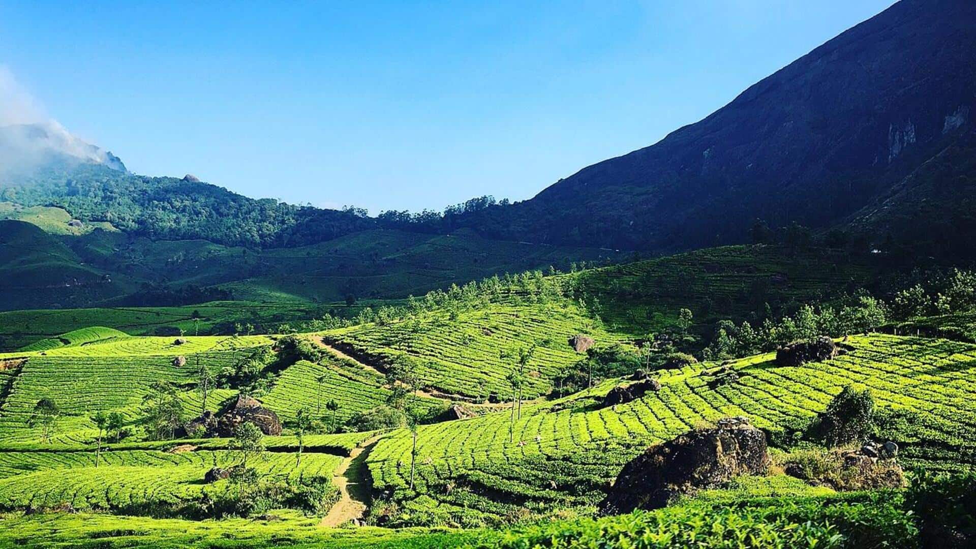 दक्षिण भारत में ठंड का मजा लेने के लिए इन खूबसूरत जगहों का करें रुख