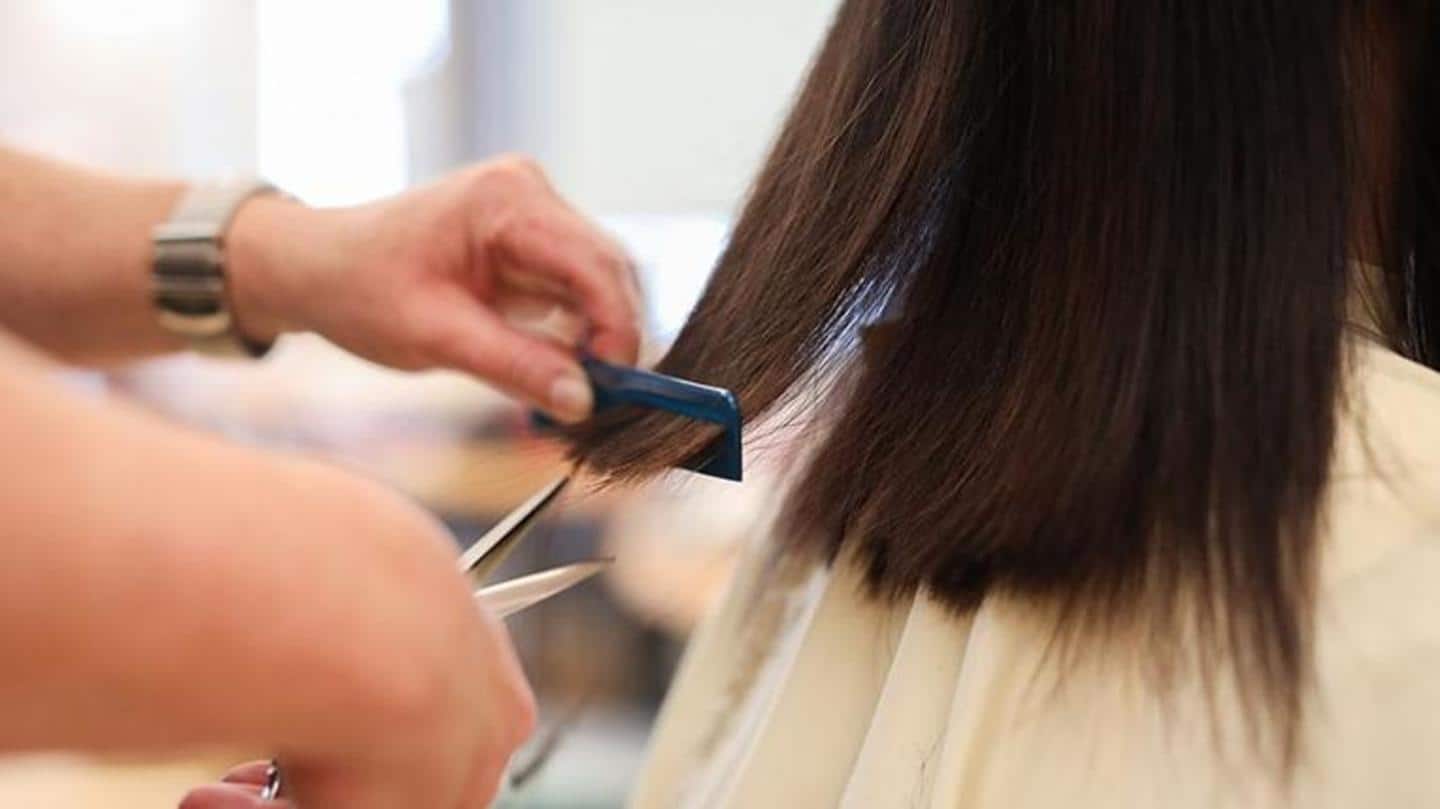 Confusion - Haircut can prevent split ends Confusion - Haircut can prevent split ends
