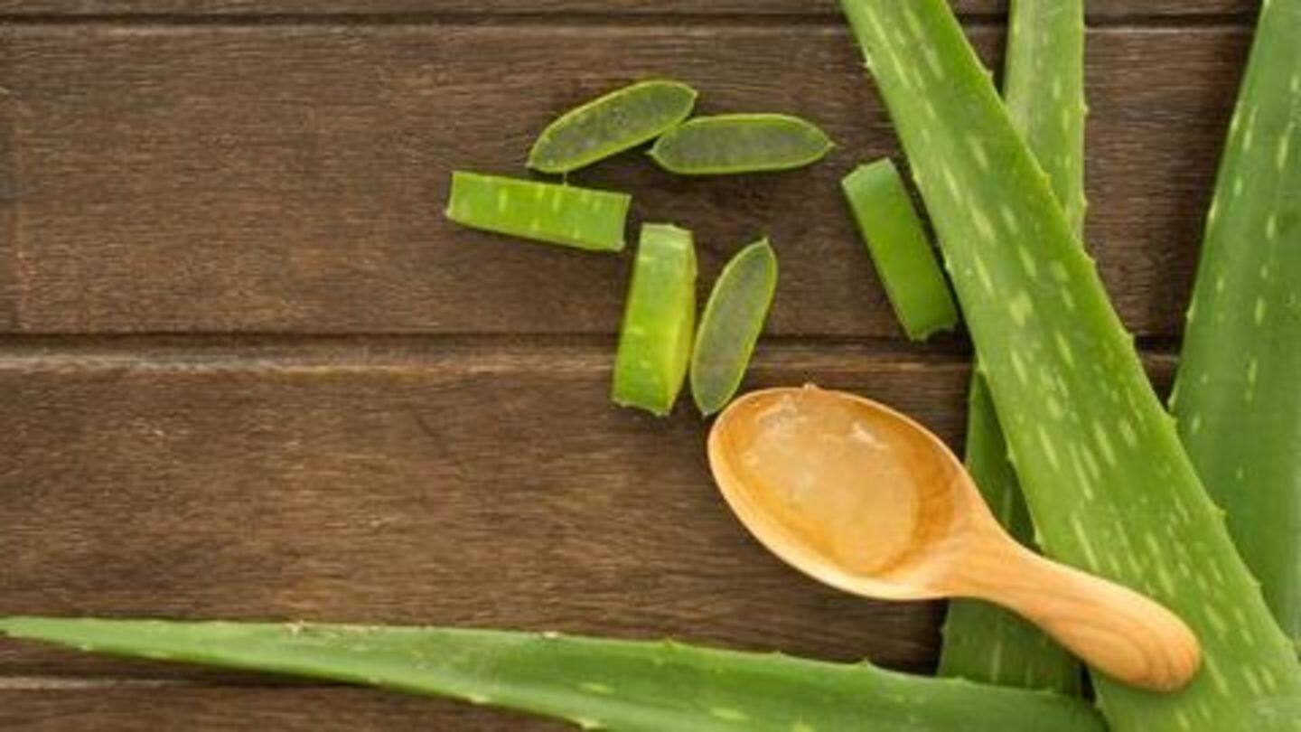 एलोवेरा जेल, जैतून और नारियल का तेल एलोवेरा जेल, जैतून और नारियल का तेल