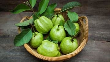 स्वास्थ्य के लिए फायदेमंद है रोजाना एक अमरूद का सेवन, इन गंभीर बीमारियों से रखेगा दूर