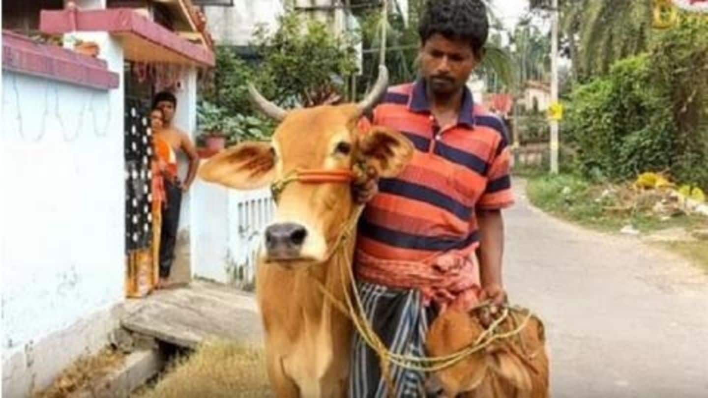 'गाय के दूध में सोना' बयान के बाद गायों को लेकर गोल्ड-लोन लेने पहुंचा शख्स