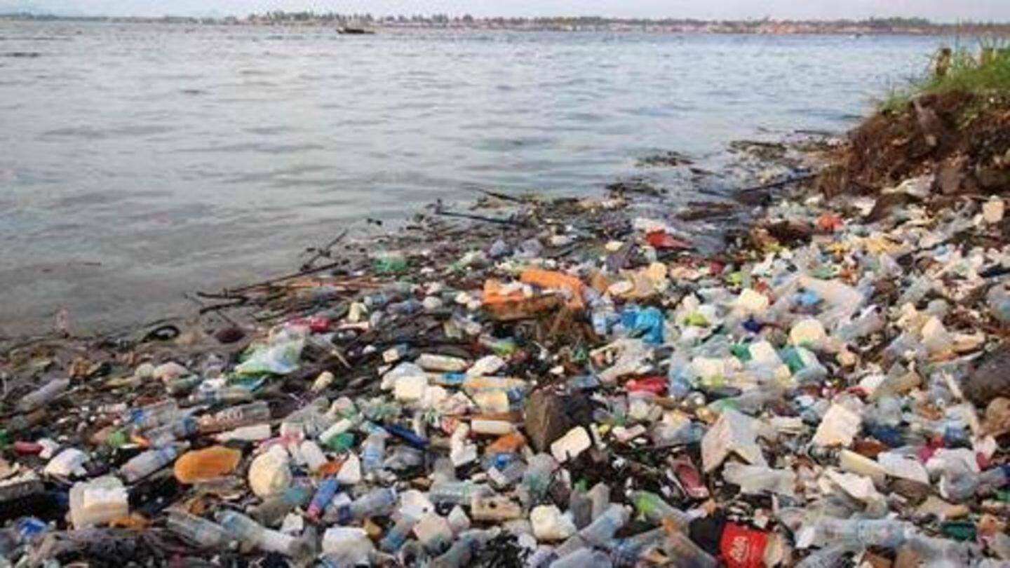 घर या ऑफिस आदि के कचरे को सही जगह पर ही फेंके घर या ऑफिस आदि के कचरे को सही जगह पर ही फेंके