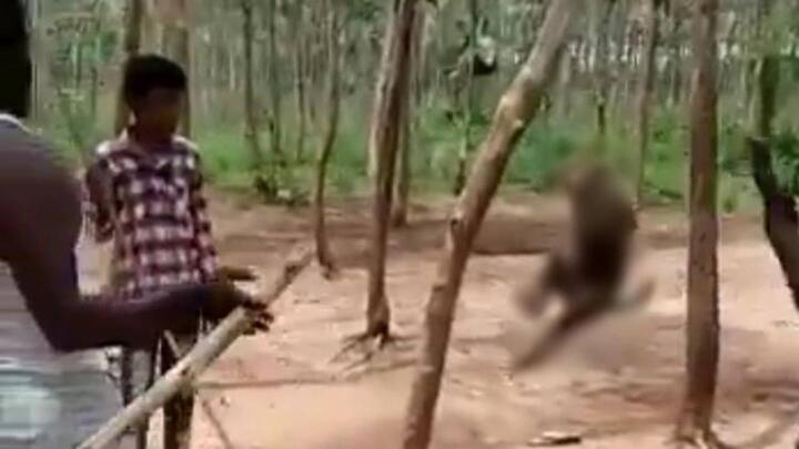 तेलंगाना: बंदर को पेड़ से लटकाकर मारने के मामले में तीन आरोपी गिरफ्तार