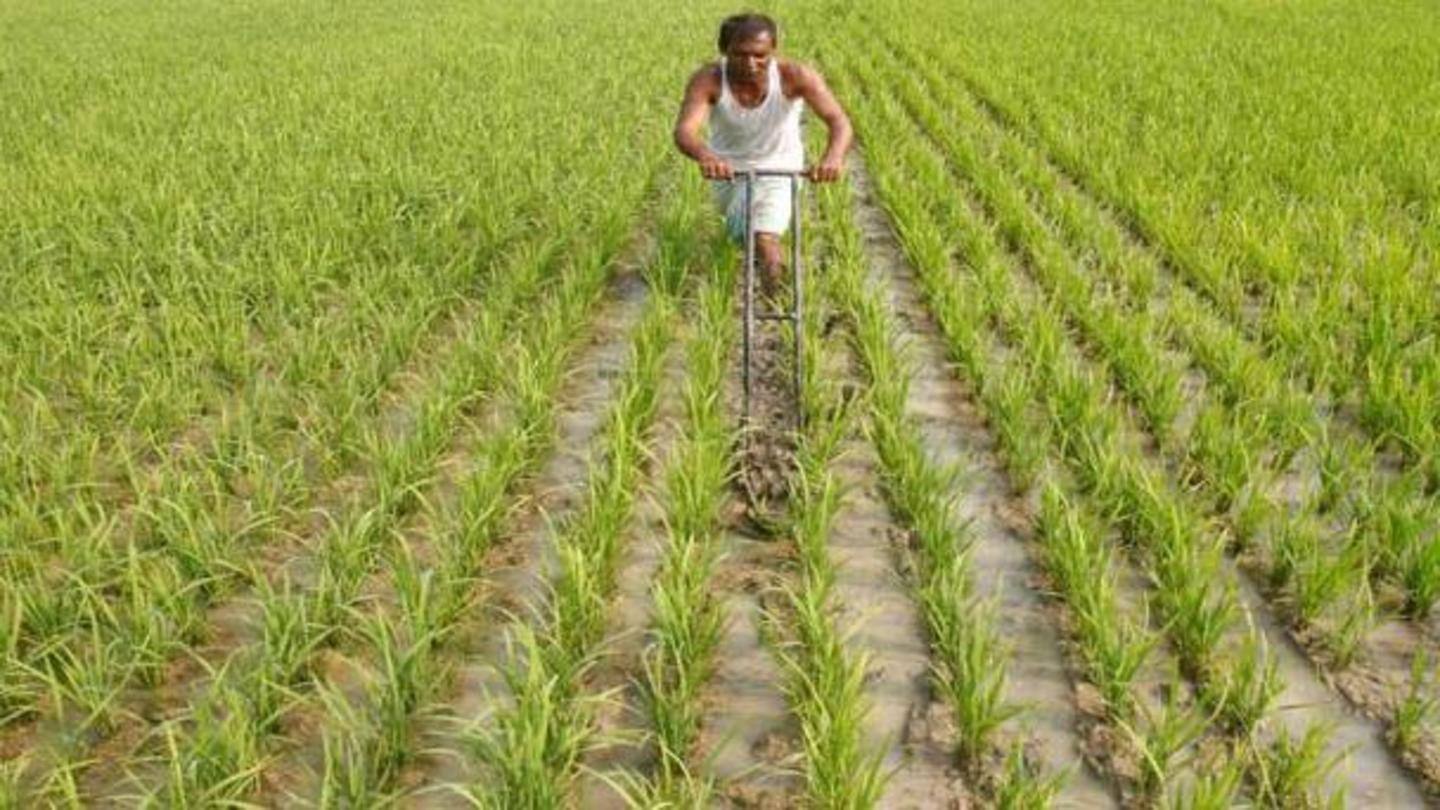 कृषि और मैन्युफैक्चरिंग सेक्टर में आया उछाल कृषि और मैन्युफैक्चरिंग सेक्टर में आया उछाल