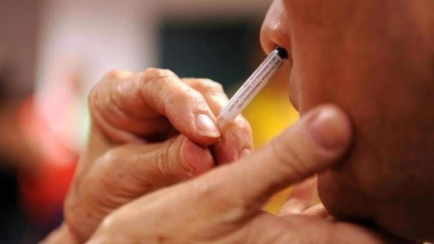 कोरोना वायरस: भारत को जल्द मिल सकती है नाक द्वारा दी जाने वाली वैक्सीन