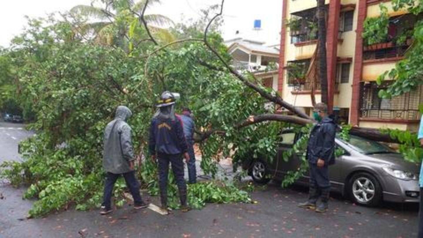 महाराष्ट्र के इन शहरों में रहा निसर्ग का कहर महाराष्ट्र के इन शहरों में रहा निसर्ग का कहर
