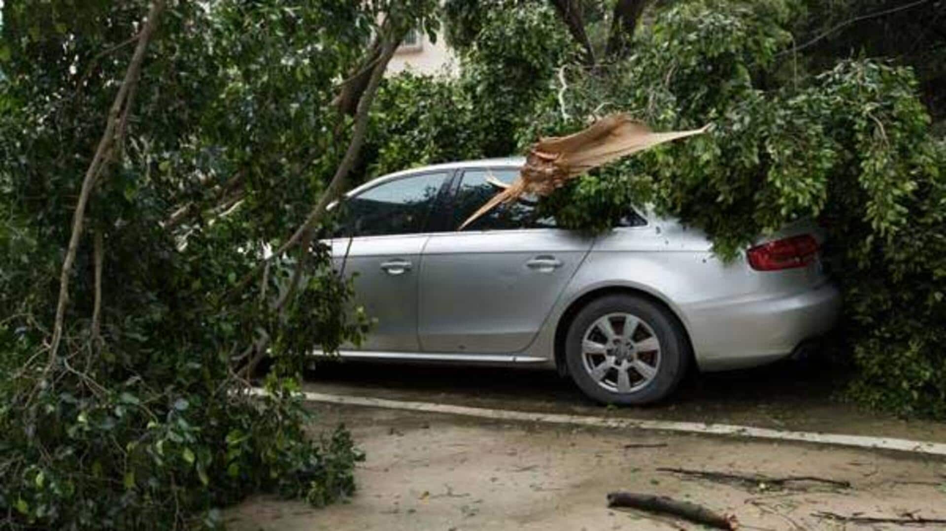 तूफान के कारण गाड़ी पर गिर गया पेड़? नुकसान की ऐसे होगी भरपाई तूफान के कारण गाड़ी पर गिर गया पेड़? नुकसान की ऐसे होगी भरपाई