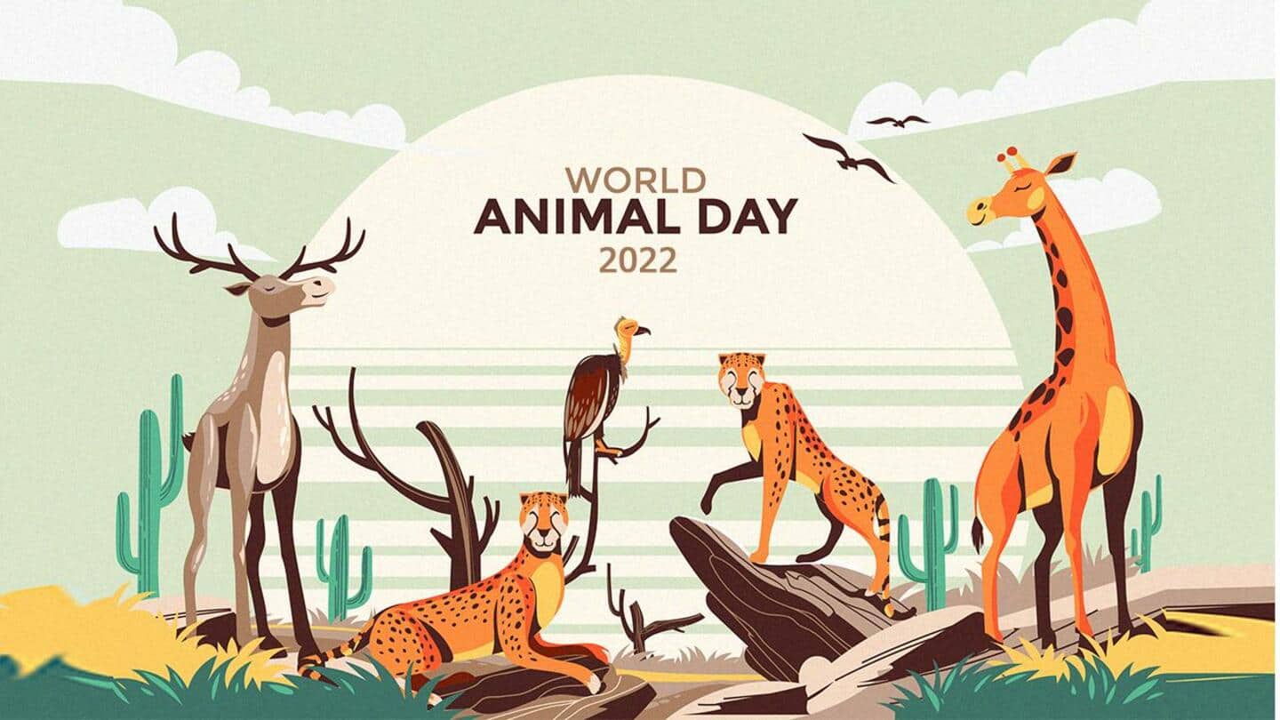 विश्व पशु दिवस 2022: जानिए किन तरीकों से सार्थक बनाया जा सकता है यह दिन