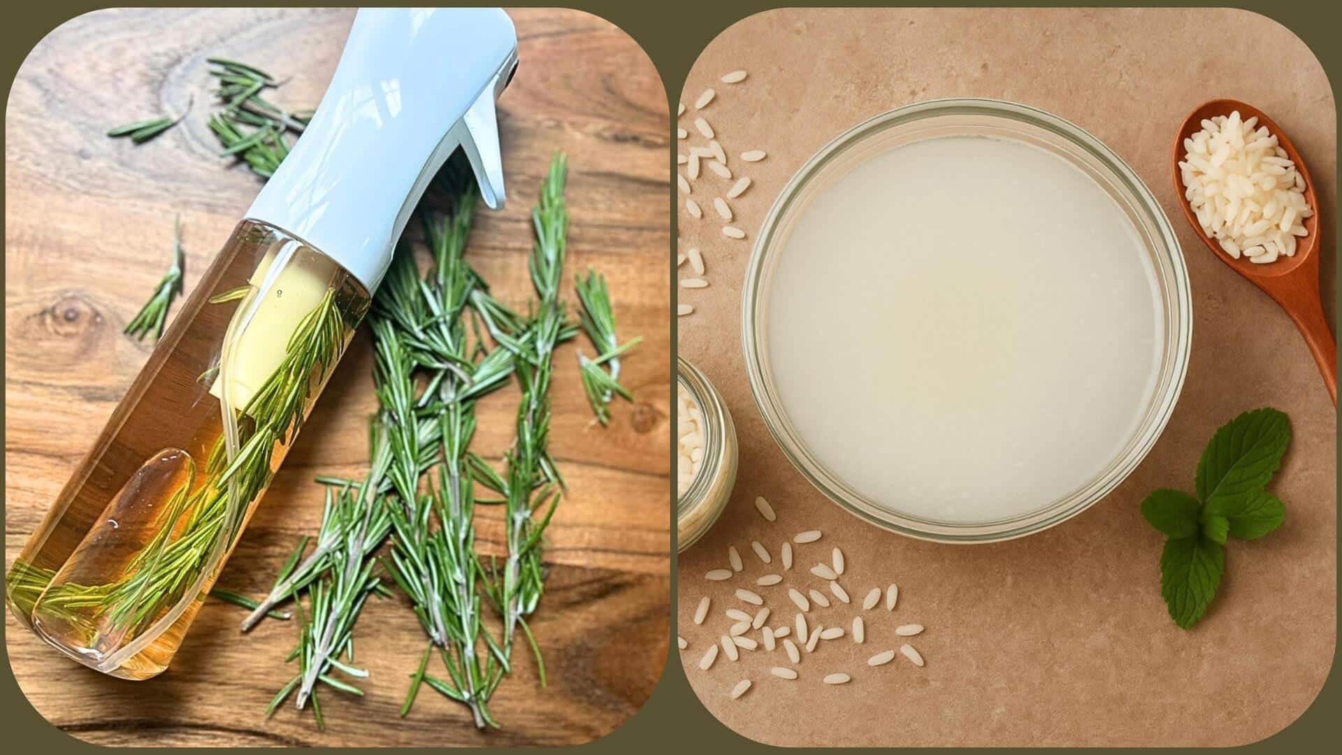 रोजमेरी का पानी बनाम चावल का पानी: जानिए इनमें से आपके लिए कौन-सा है बेहतर 