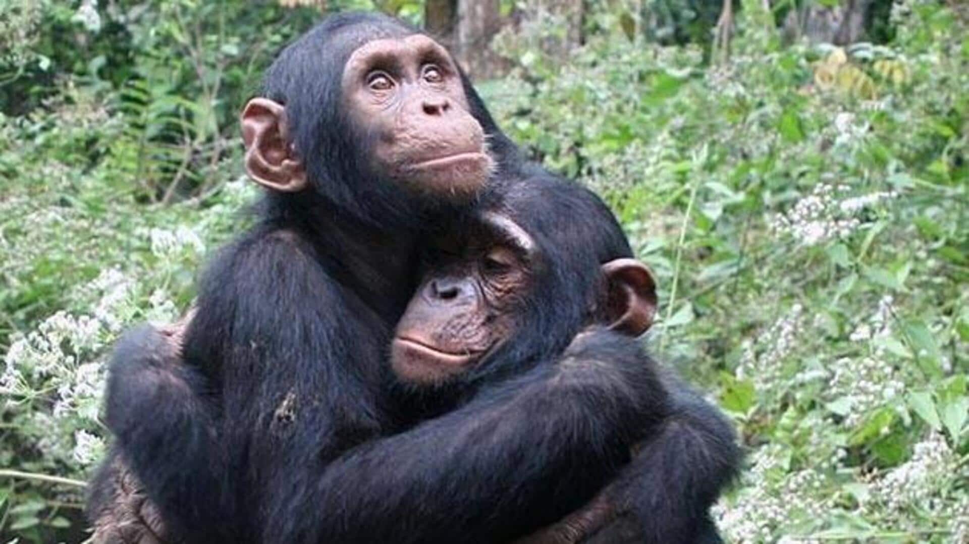 करोड़ों साल पहले की गई थी पहली किस, जानिए कौन था इसमें शामिल